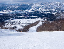 nozawa,togari