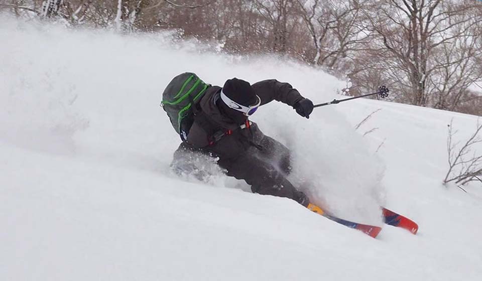 takasu_sp_tree_run_1