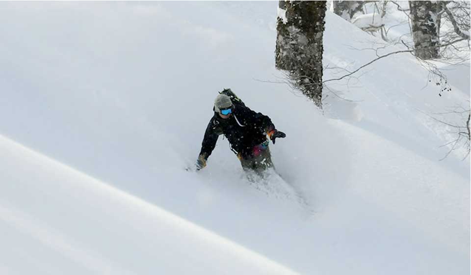 takasu_sp_tree_run_2