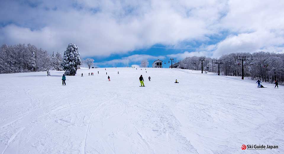 Nozawa_paradise_GL