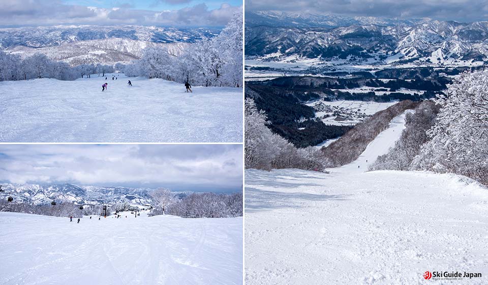 Nozawa_onsen