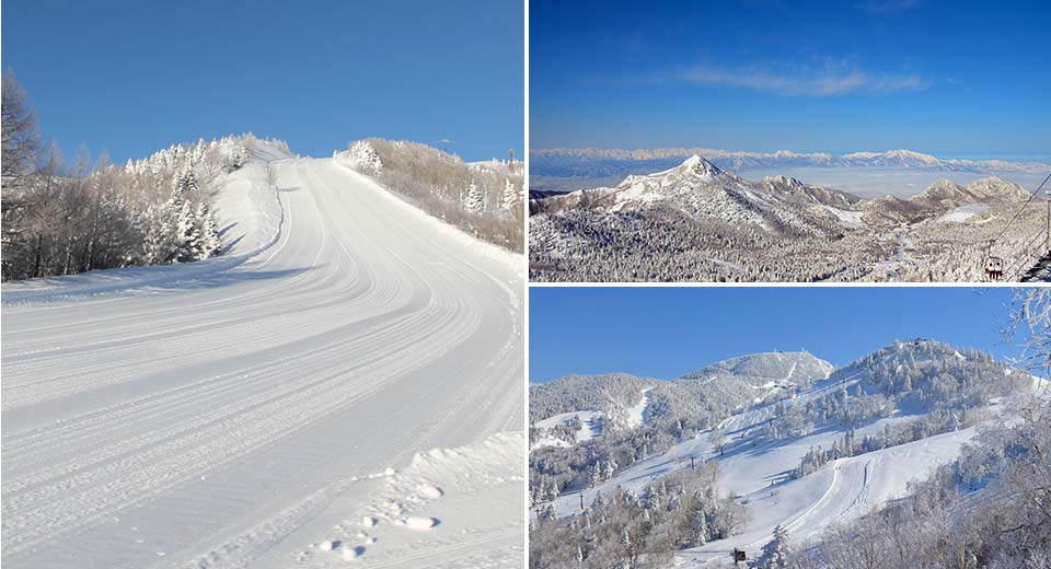 shiga_kogen