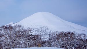 bcarea_niseko