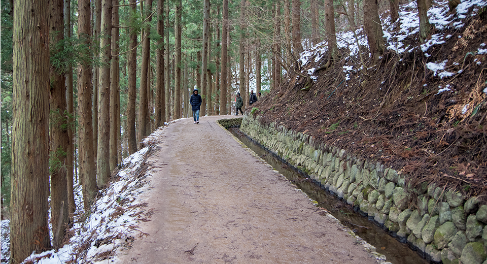 road_to_snowmonley_park